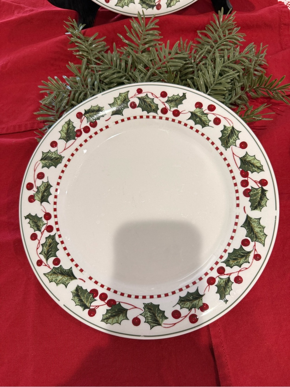 WINTER WONDERLAND 10" Dinner Plates Casual Settings by Oneida - Picture 3 of 6